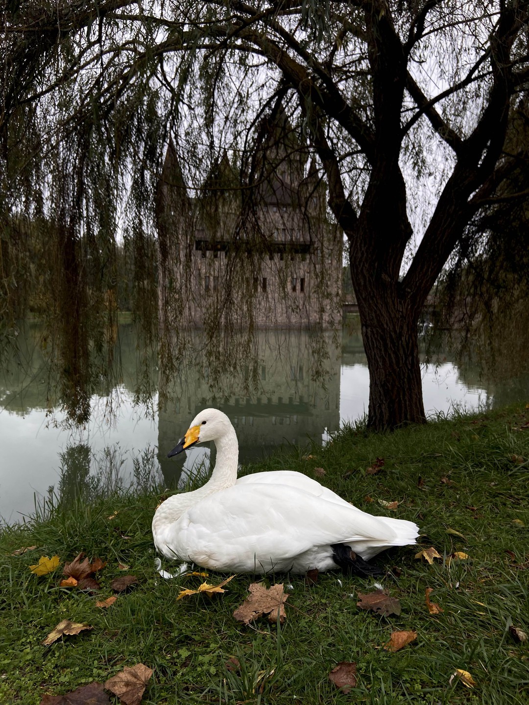 Незабываемая Верхняя Балкария: поездка из Минвод в мини-группе (Ксения)