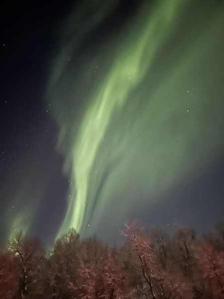 Мурманск: охота за северным сиянием (Кристина)