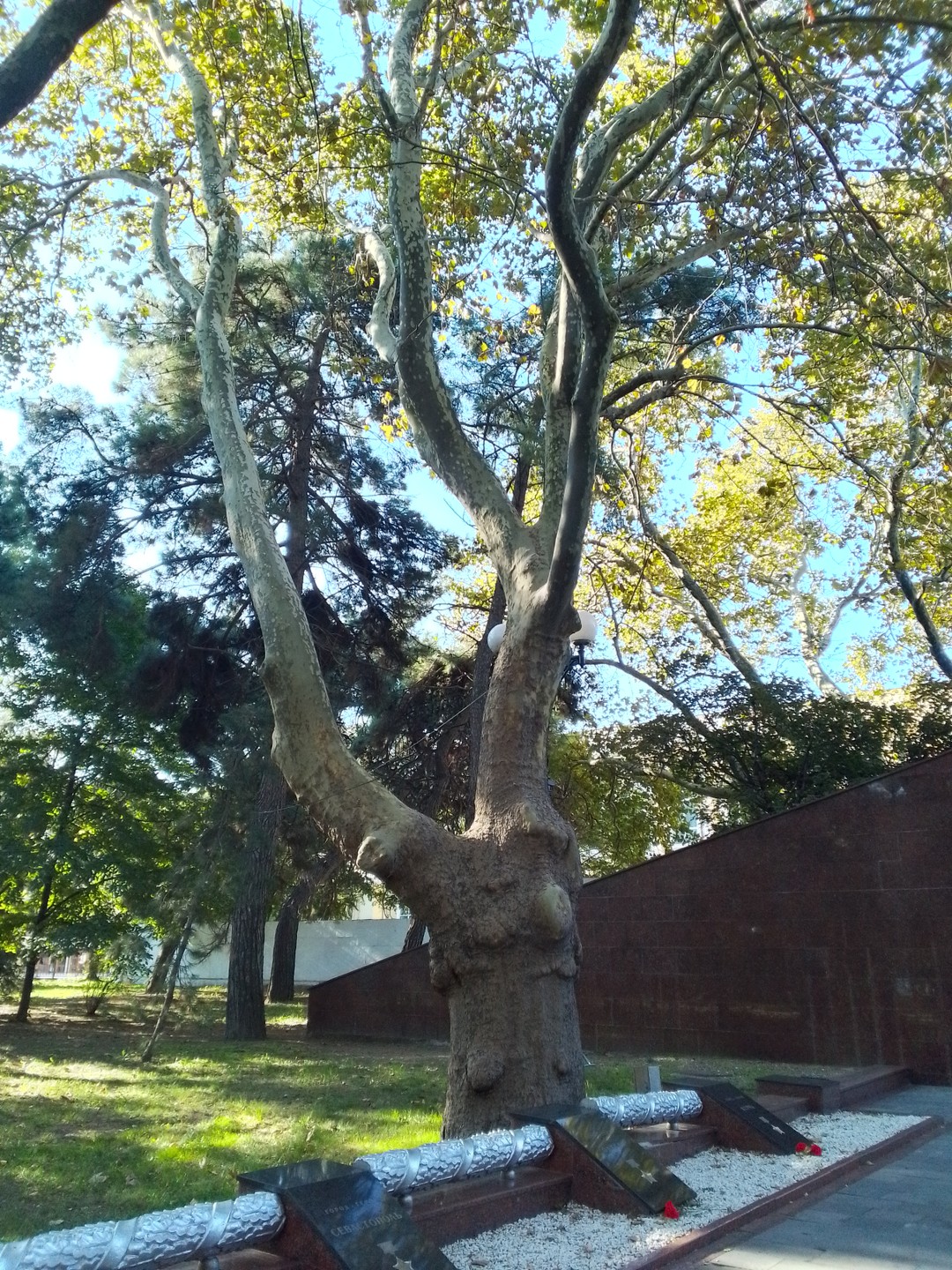 Людмила - человек влюблённый в свой город, и этой любовью она с радостью делится с другими