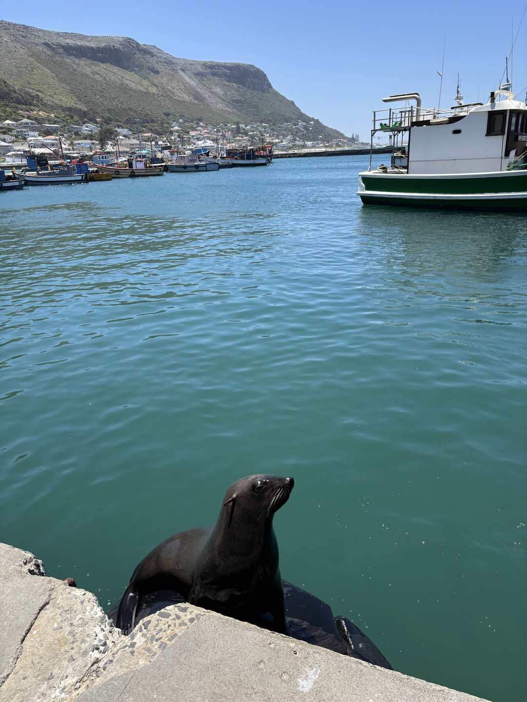 Один день, прекрасная поездка вокруг полуострова и полмиллиона фотографий вам обеспечены