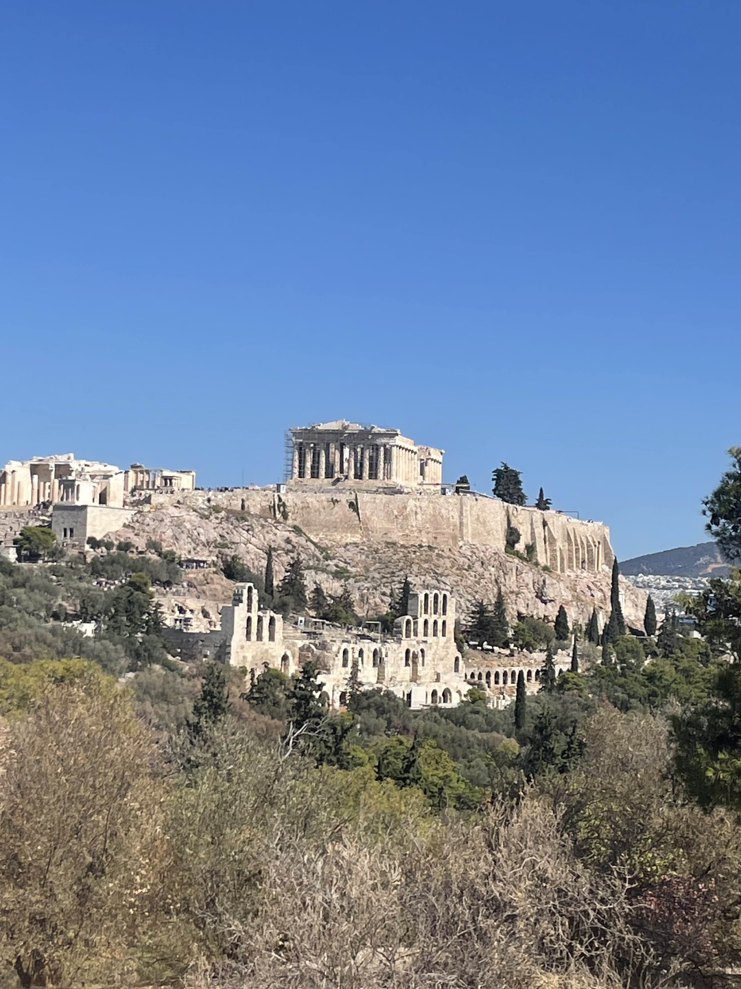 Афины для маленьких и больших исследователей (Лариса)