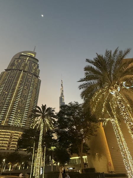 Панорамы Дубая: экскурсия на кабриолете (Виктория)