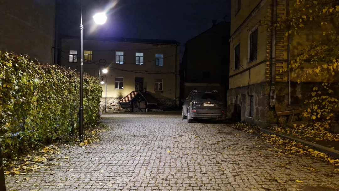 Выборг в компании художника (Александр)