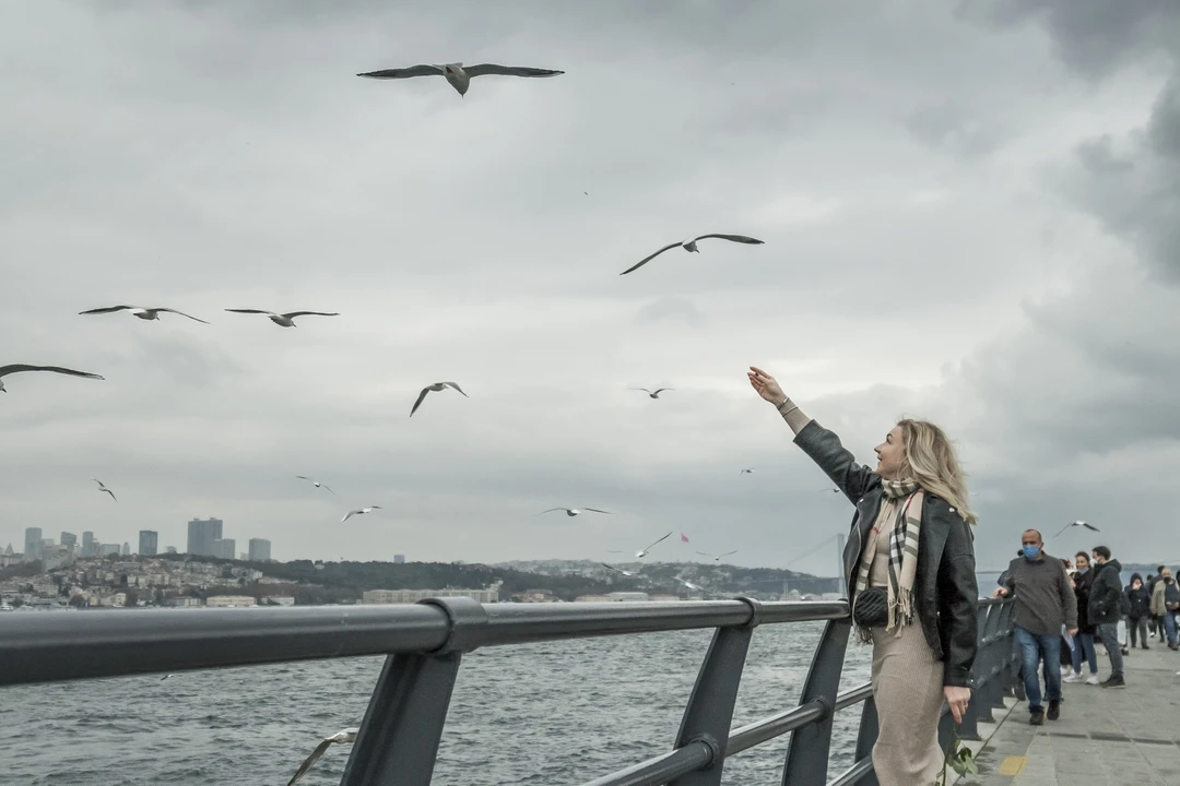 Спасибо Владиславу за чудесную прогулку. Хотя погода и не располагала, мы отлично провели время. Сделали классные