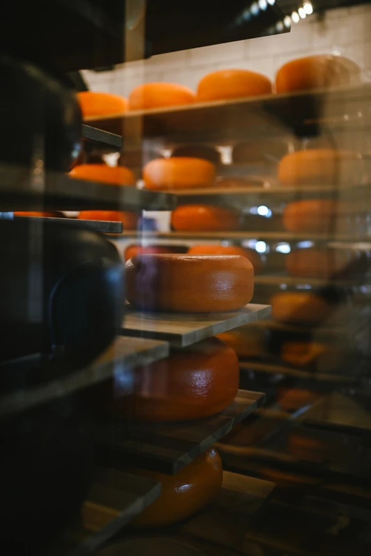 В тени рыцарских замков - поездка из Светлогорска