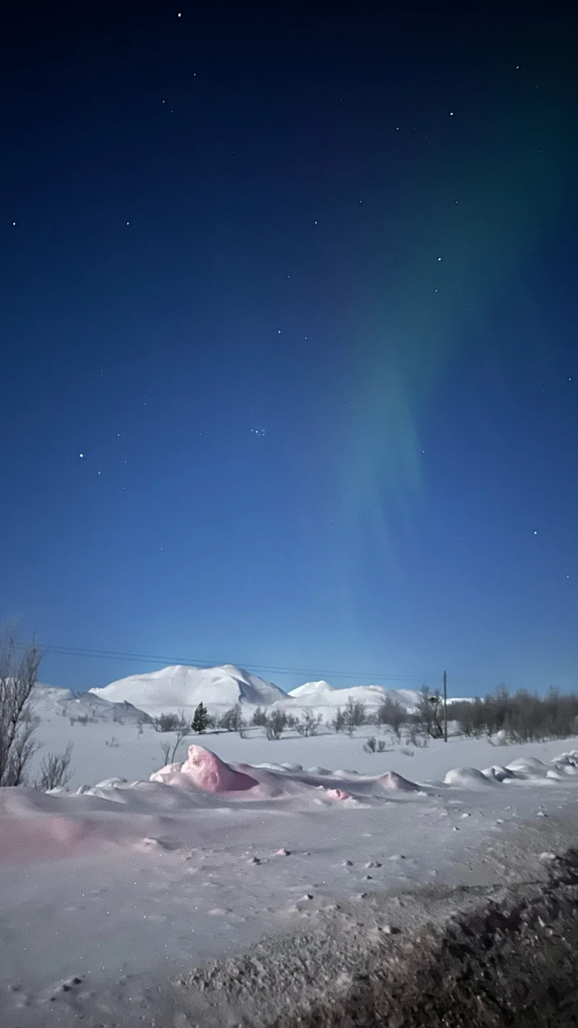 Северное сияние: увидеть главное чудо Заполярья (Звягинцева)