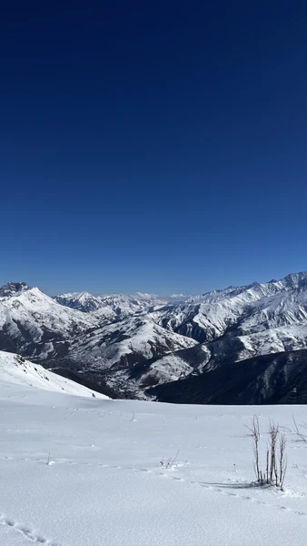 Потрясающая экскурсия, нам очень понравилось! Очень многое узнали, отлично провели время и наелись 😌Роланд очень интересный