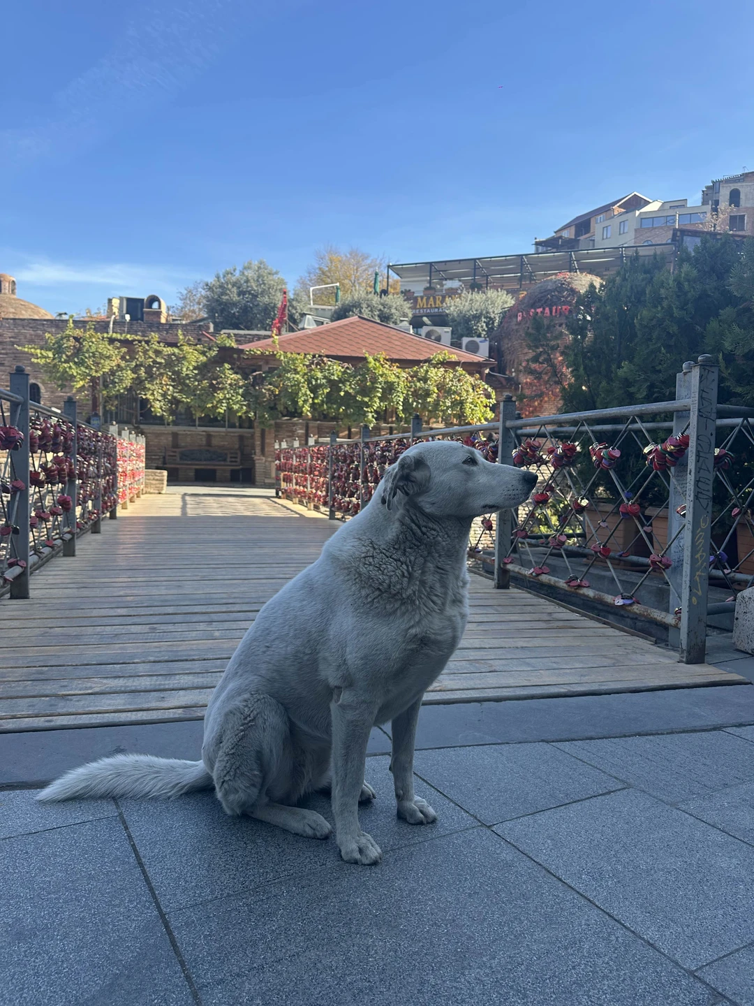 Прекрасно провели время в солнечном Тбилиси!