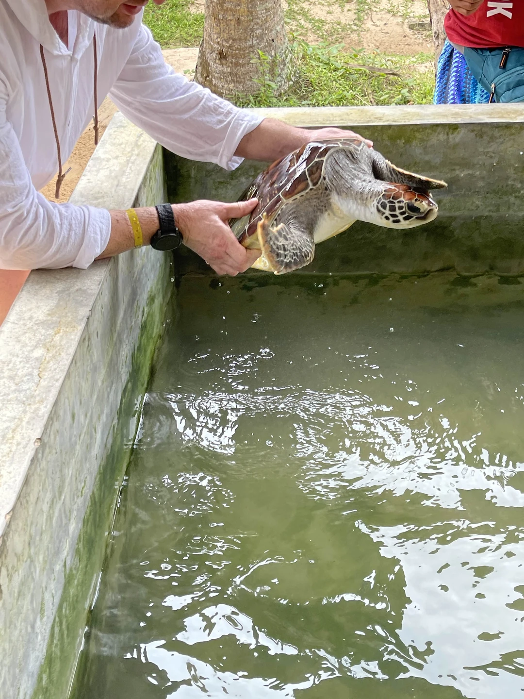 Все было отлично. Хороши гид был Удаянга, все прекрасно рассказывал, интересно объяснял! Не напрягает и подстраивается под группу. Большое спасибо!