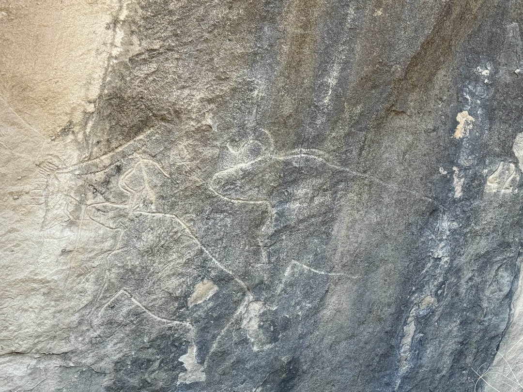 У нас был Гид Рустам. Он классный, все прошло как надо) человек профессиональный и увлеченны своим делом!)