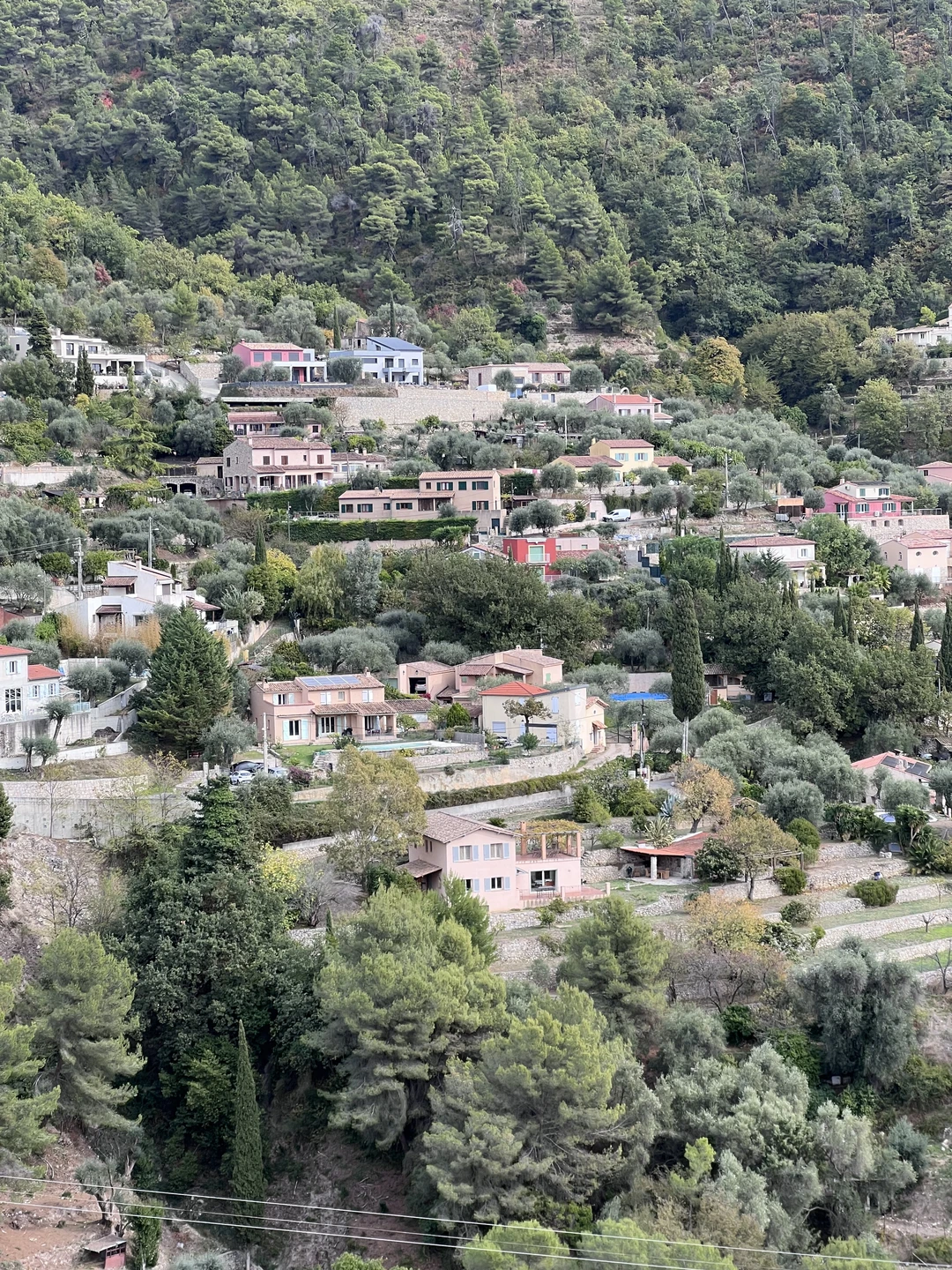 Супер прогулка, нам с дочкой очень понравилось, Екатерина молодец, рассказала и показала нам красоту. Узнали много