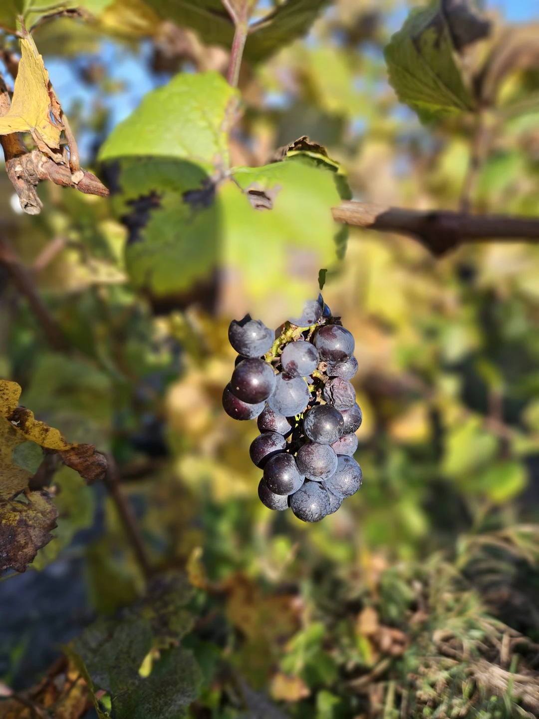 Замечательная поездка! Всё супер! Спасибо!