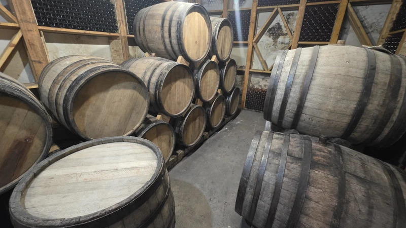 Арарат, Арени и Нораванк - дороги, пропитанные солнцем (Дамир)