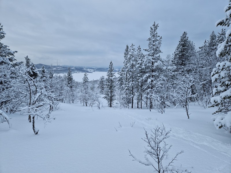 Виды Активная прогулка на снегоступах в окрестностях Мурманска