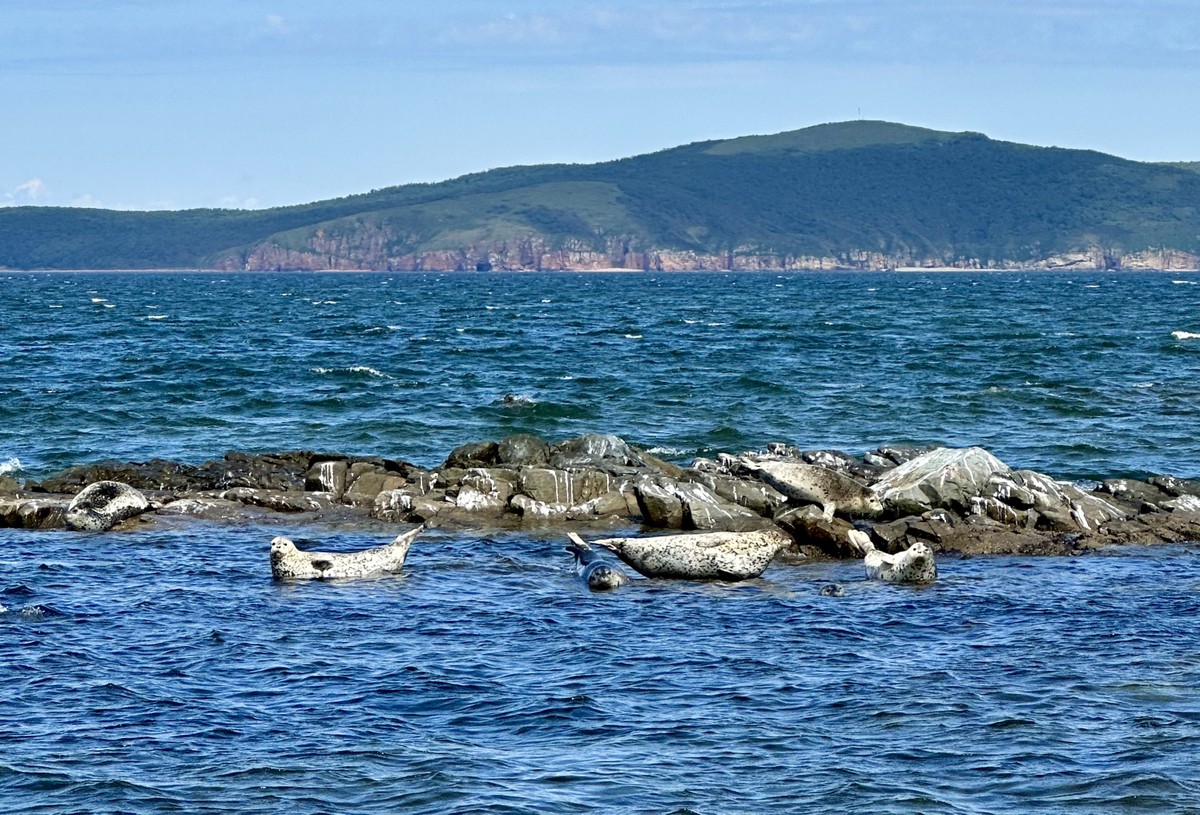 Экскурсия Релакс-путешествие по островам Японского моря — с гастрономической паузой