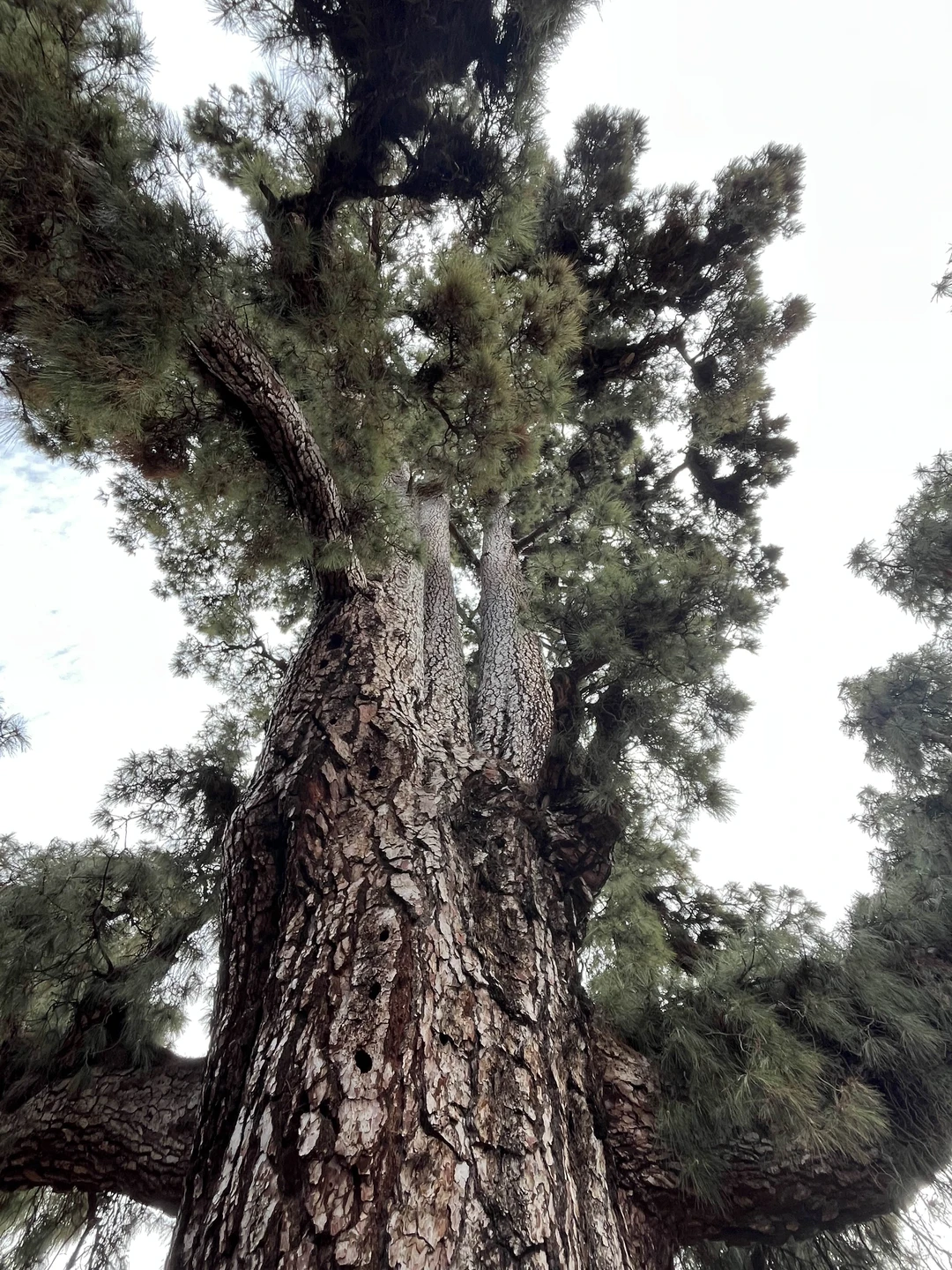 Всё очень понравилось! Денис интересный и разносторонне образованный гид, приятный собеседник! Рекомендуем!!!!