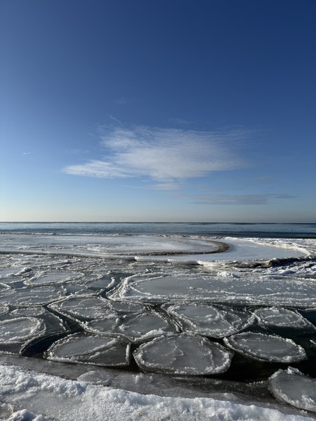 Огромное спасибо Регине за интересную экскурсию! Ездили вдвоем с дочерью. Информации масса. Посетили все места, которые