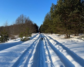 Лыжная прогулка и возвращение в город