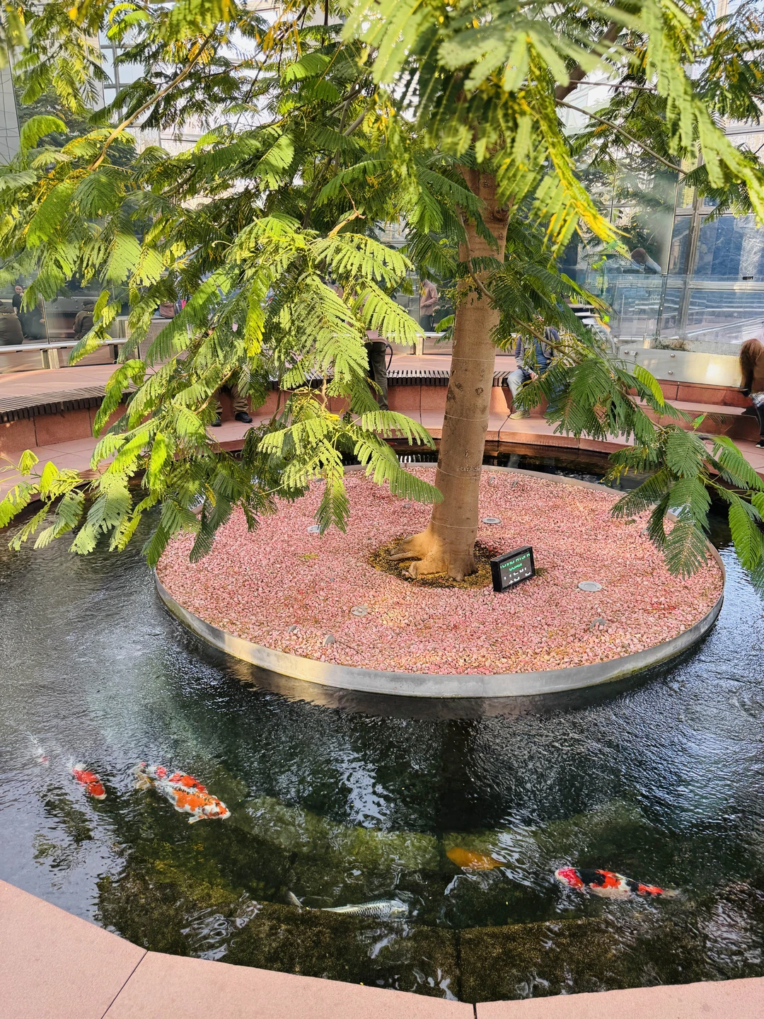 Информативный материал