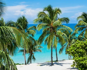 Фабрика сигар