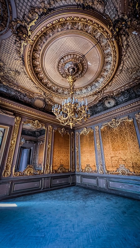 Фото 7 - Экскурсия в закрытый особняк Брусницыных