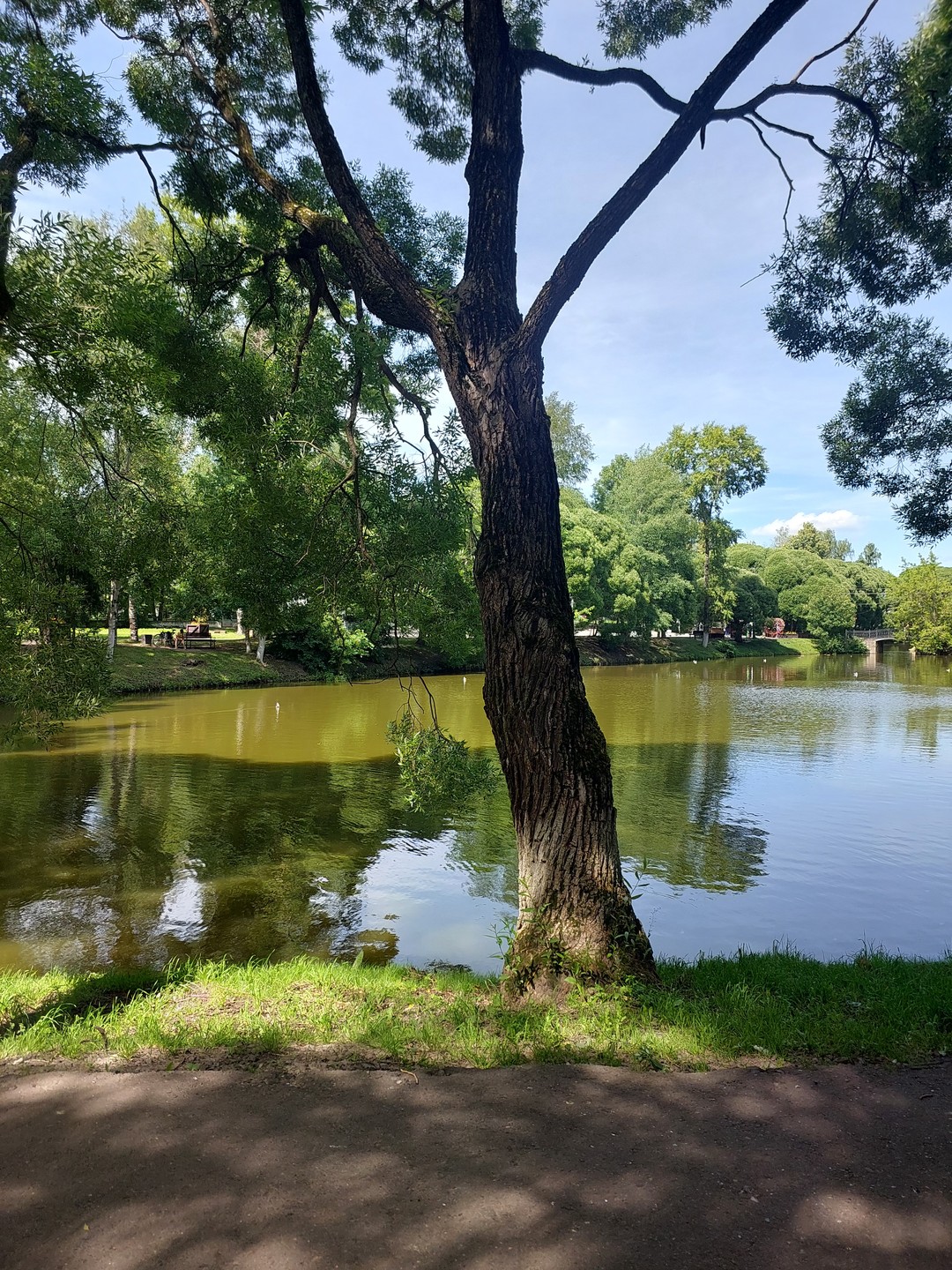 Вологда древняя и вечно юная (Вера)