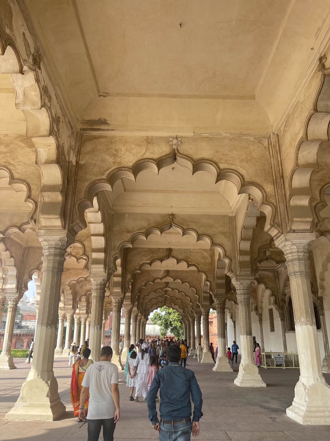 Обратились к Али за однодневной экскурсией из Дели в Тадж-Махал.