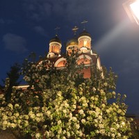 Фото отзыва 2: экскурсия "Сказки старого Зарядья"