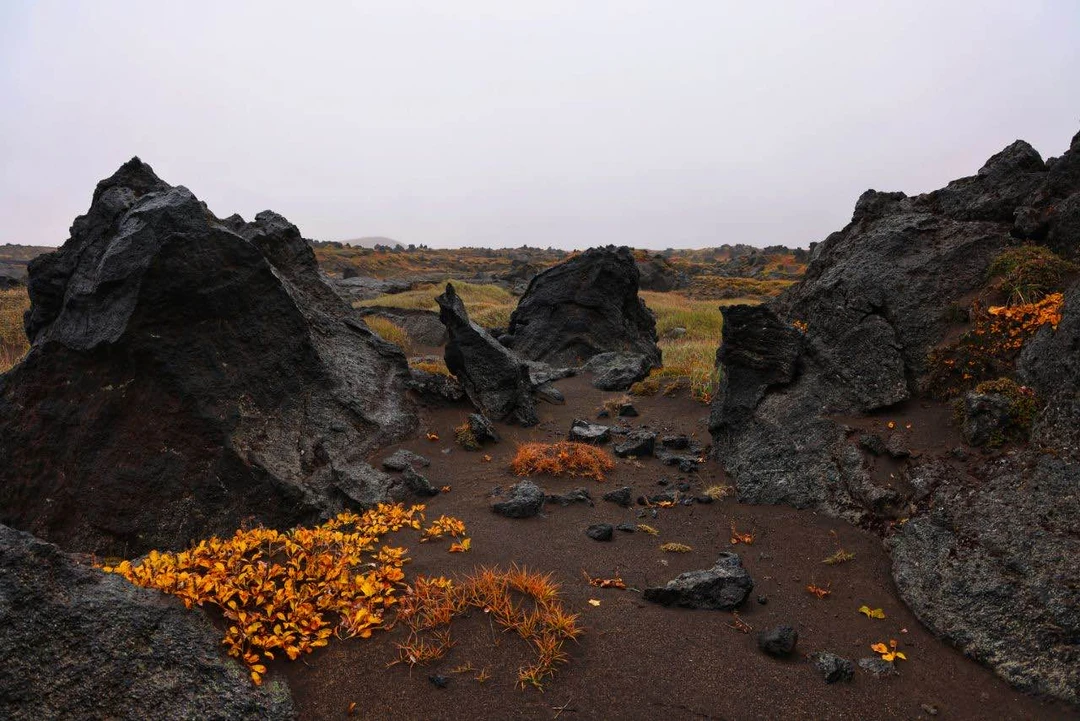 Замечательная экскурсия. Я заказала эту поездку накануне, но все было быстро и четко организовано - сразу