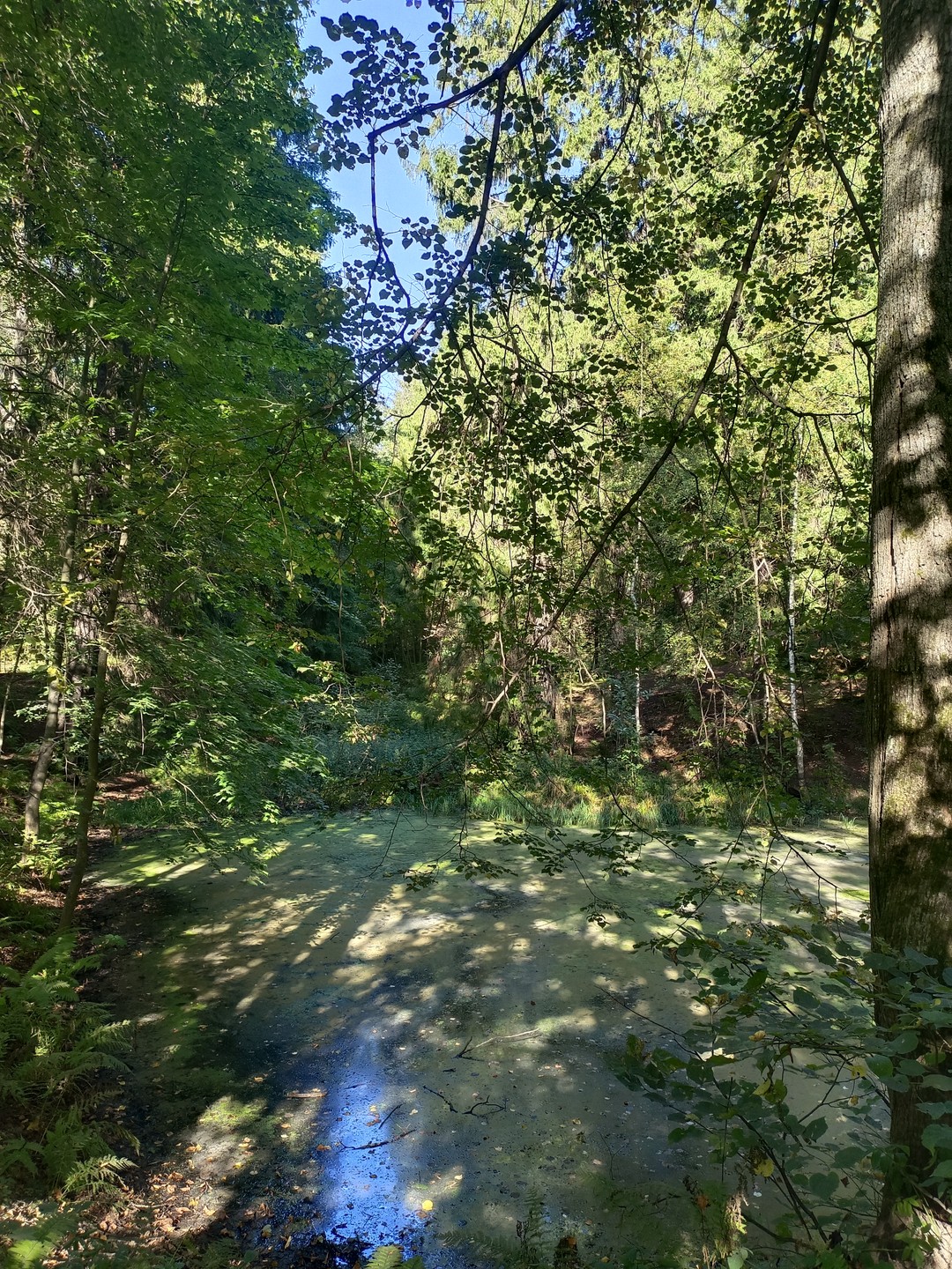 Мария, спасибо Вам за чудесный день и новые впечатления! Как будто побывала в сказке!