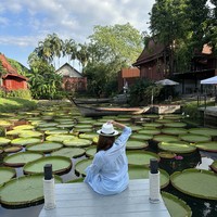 Фото отзыва 1: экскурсия "Сказочный мир Аватара и деревня слонов на Пхукете"