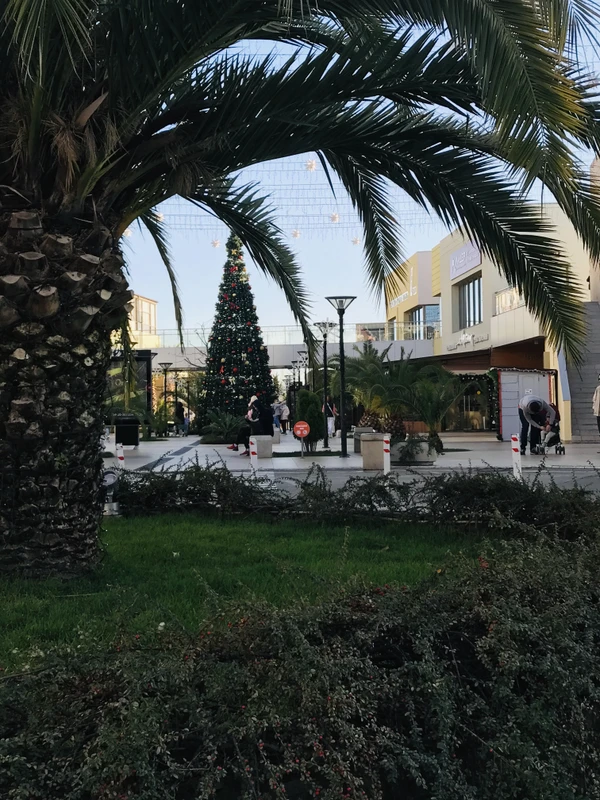 Прогулка по Адлеру с местным жителем