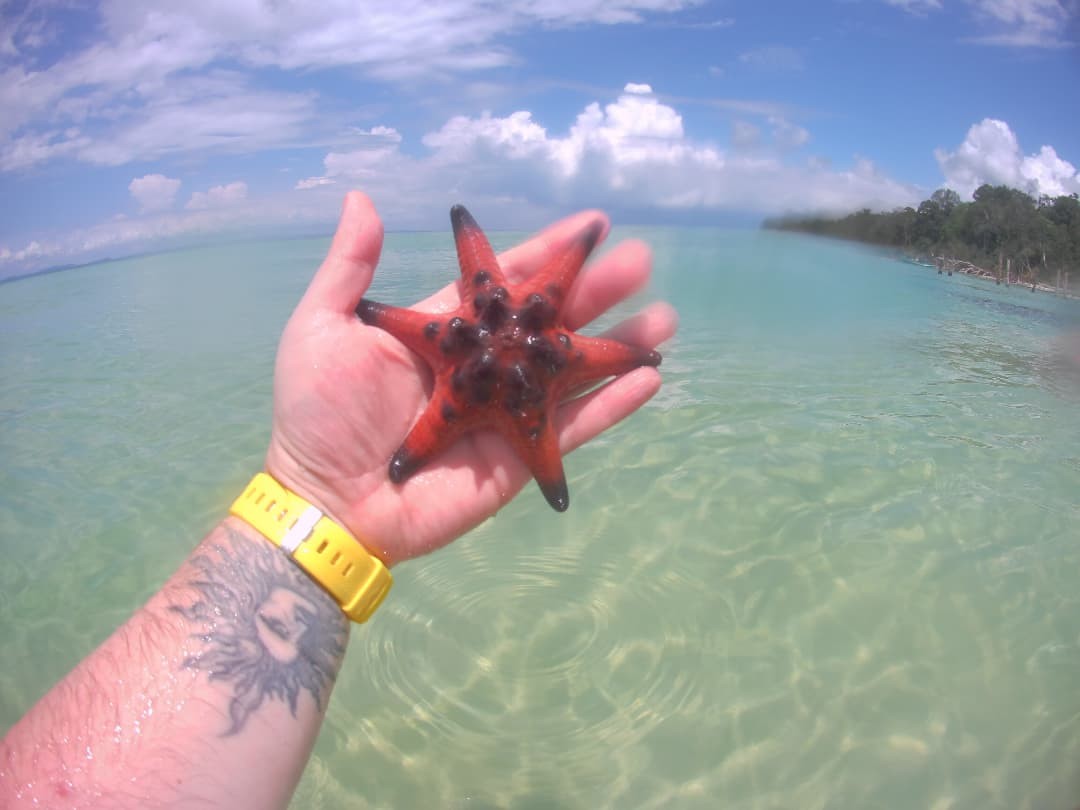 Вьетнамский Фукуок за один день (Александр)