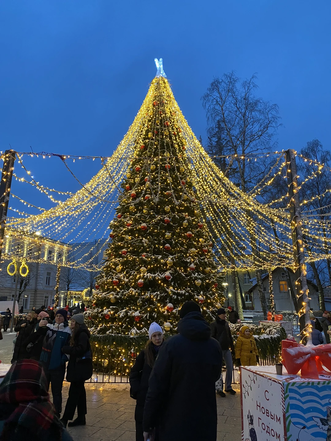 Прекрасная поездка с обаятельным и знающим гидом. Побывали в зимней сказке, посетили самые знаковые места Зеленоградска,