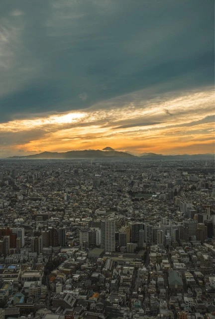 С Аэлитой мы уже встречаемся второй год, выбор гида это как выбор врача. Токио прекрасен как