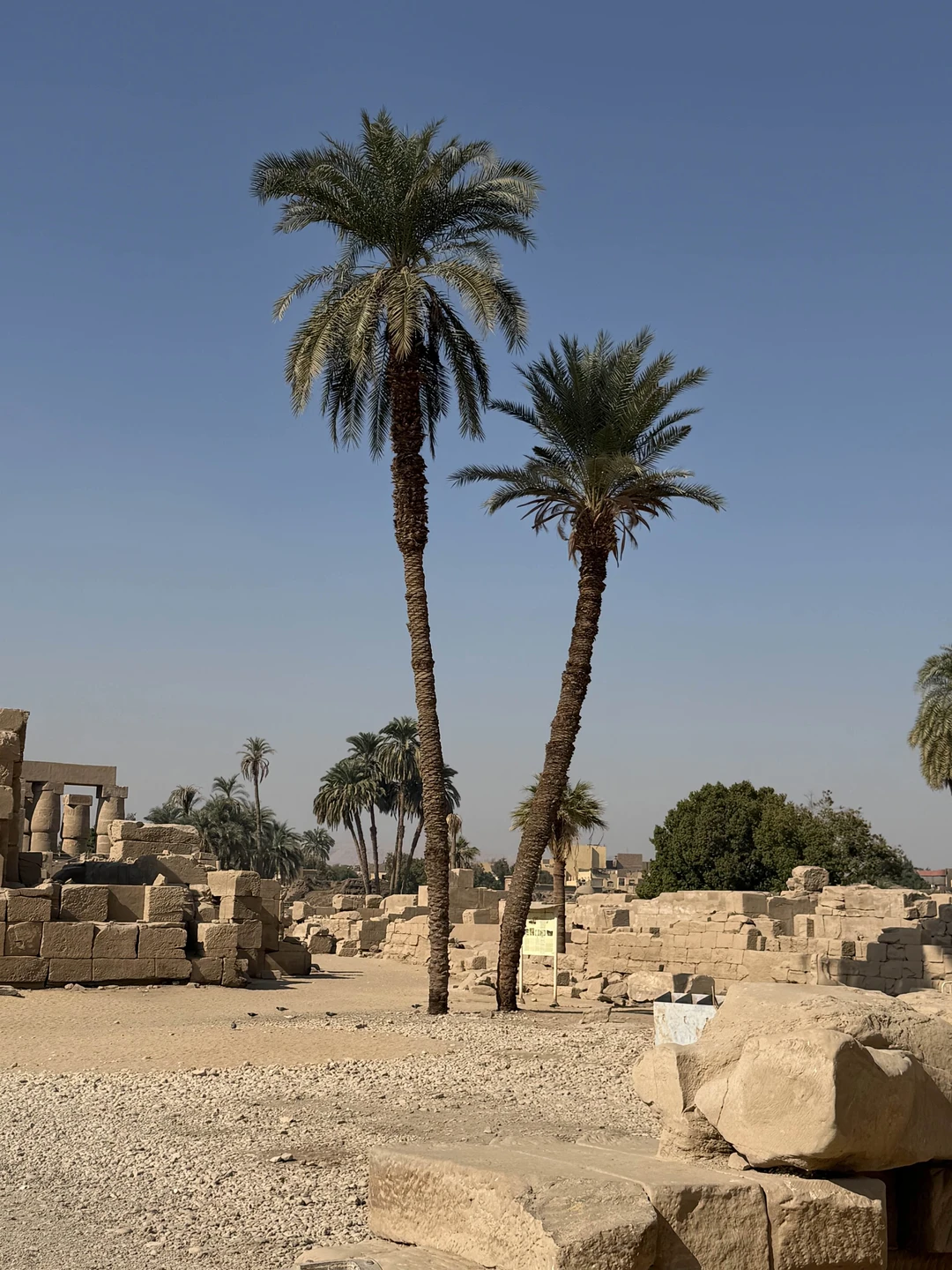 Из Хургады - в Дендеру и Луксор (Марина)