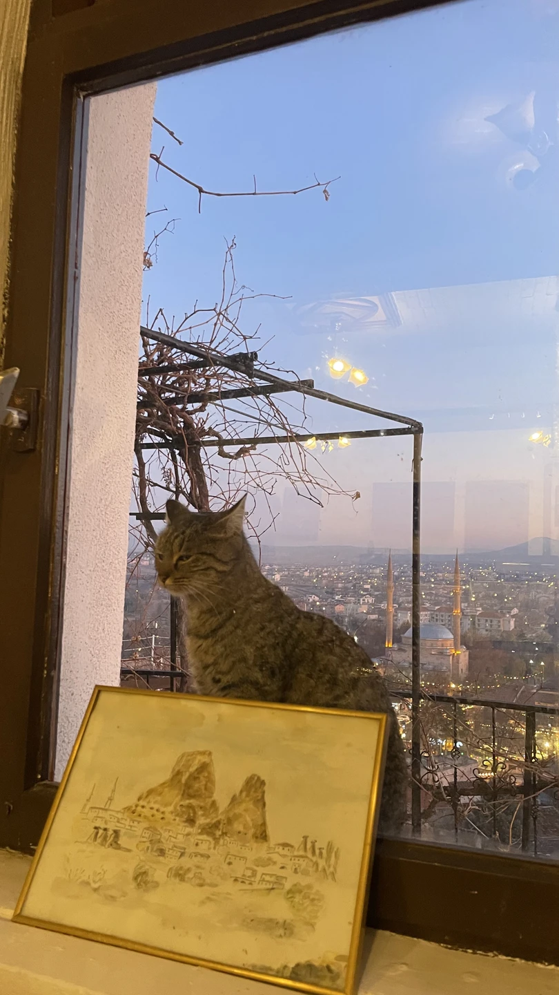 Это одна из лучших экскурсий в моей жизни!!