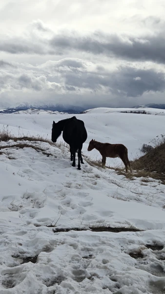 Отличное путешествие. Олег аккуратный и внимательный водитель, во время прездки чувствовали себя комфортно. Рассказы о местах,