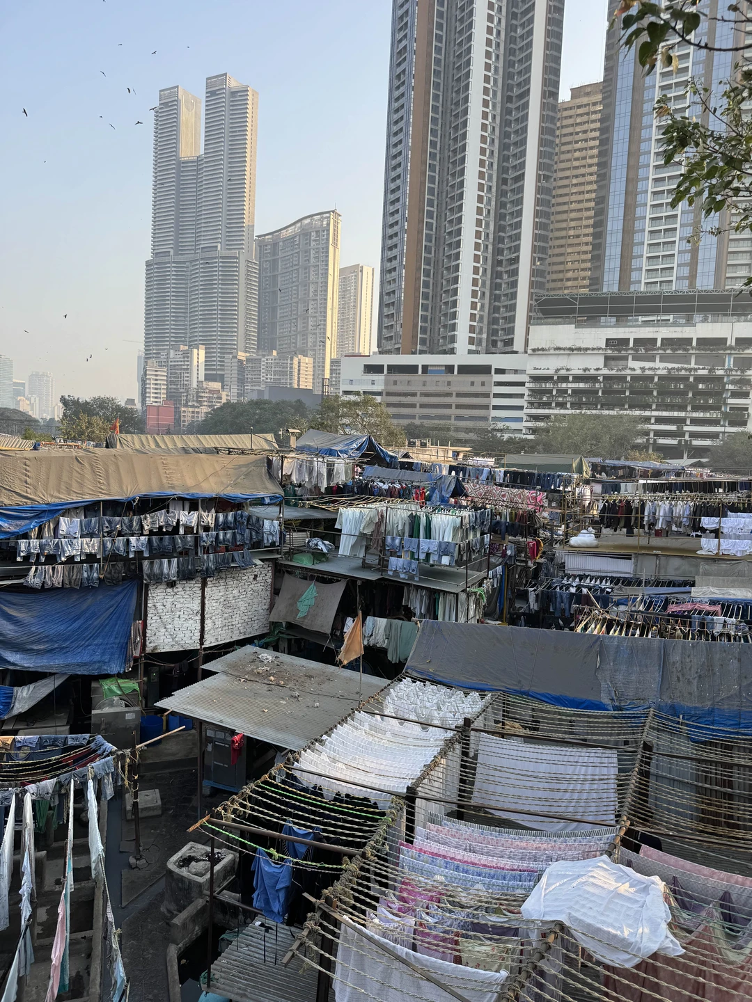 Однозначно рекомендую посетить Мумбаи! Нам удалось сделать это одним днём: утром мы прилетели из южного Гоа