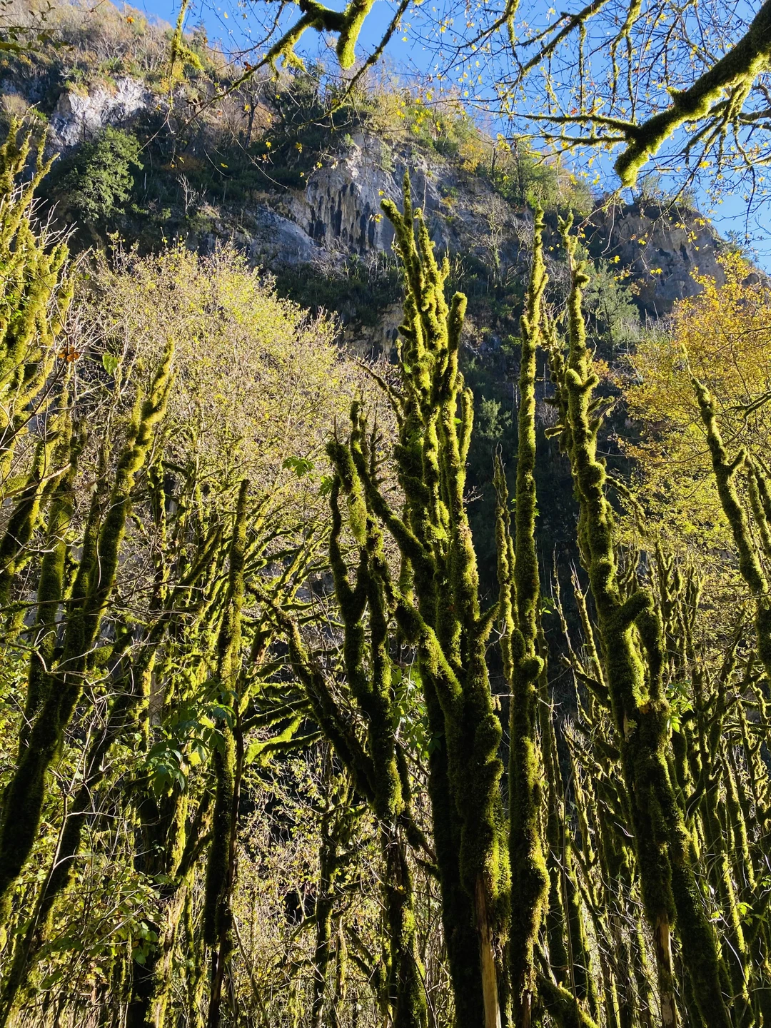 Экскурсия превзошла мои ожидания! 🤩