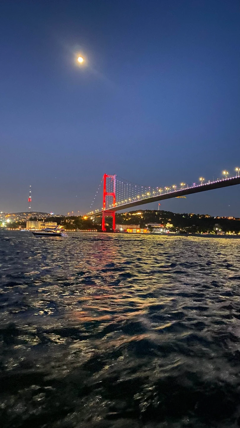 По вечернему Босфору на круизном лайнере (Elizaveta)