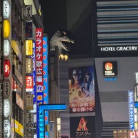 Фото отзыва 2: экскурсия "Тёмные аллеи Токио (18+)"