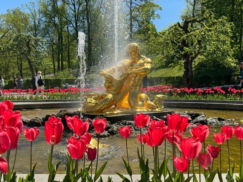 В Нижний парк Петергофа на метеоре - из Петербурга