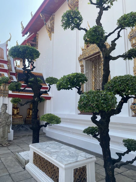 все прошло отлично! нас даже забрали из отеля)) мы посетили три храма как было и описано