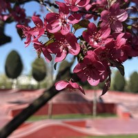 Фото отзыва 7: экскурсия "По&nbsp;парку Галицкого&nbsp;— в&nbsp;мини-группе"