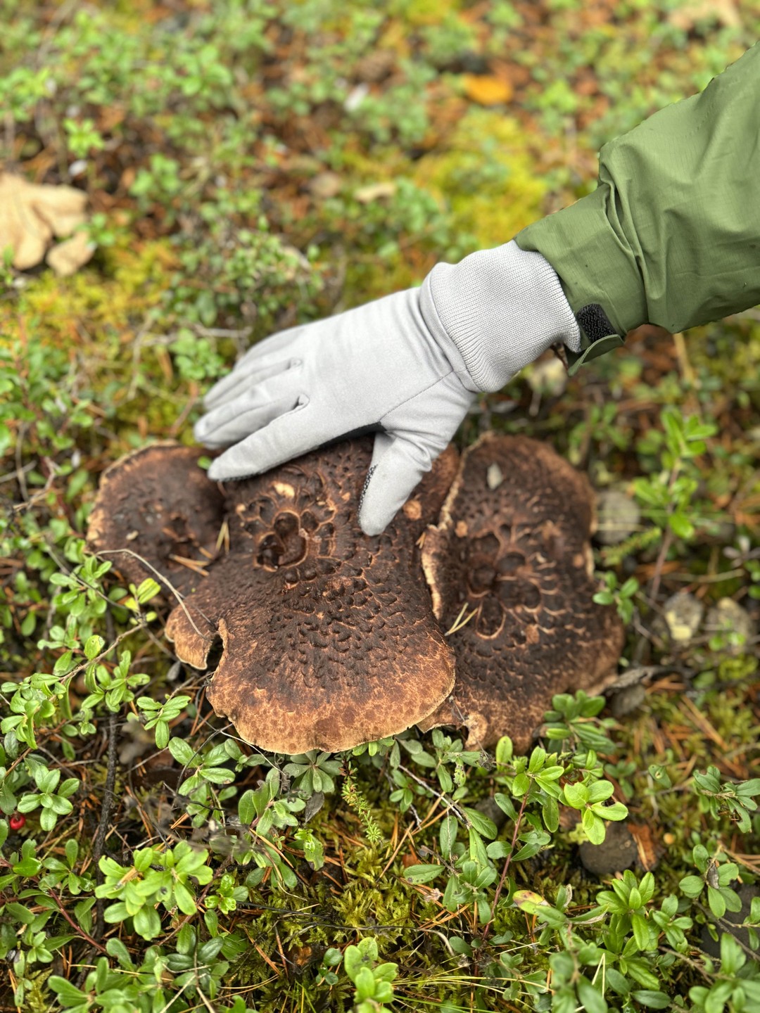 Замечательная экскурсия с профессионалом👍