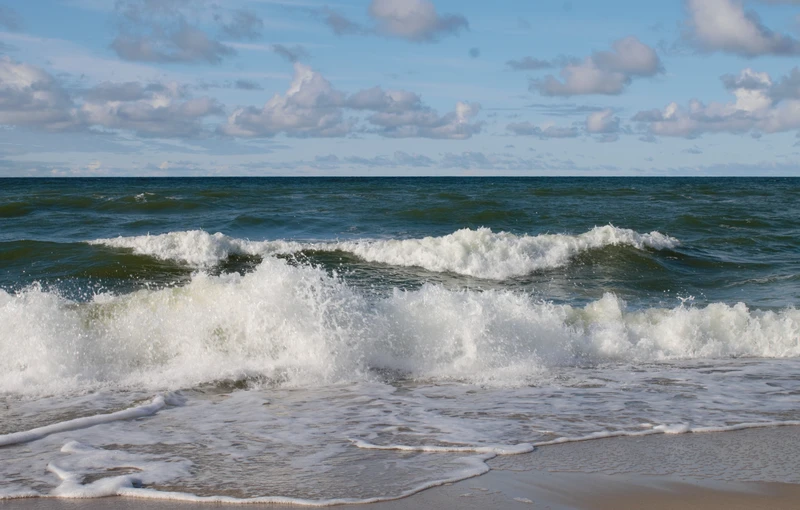 Магия Куршской косы: поющие пески и Танцующий лес