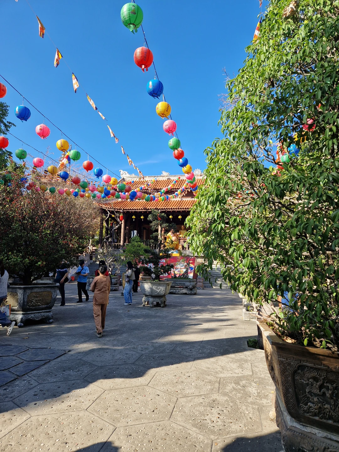 Большое спасибо за интересную экскурсию по Нячангу и его окрестностям! Дмитрий - очень интересный собеседник, который