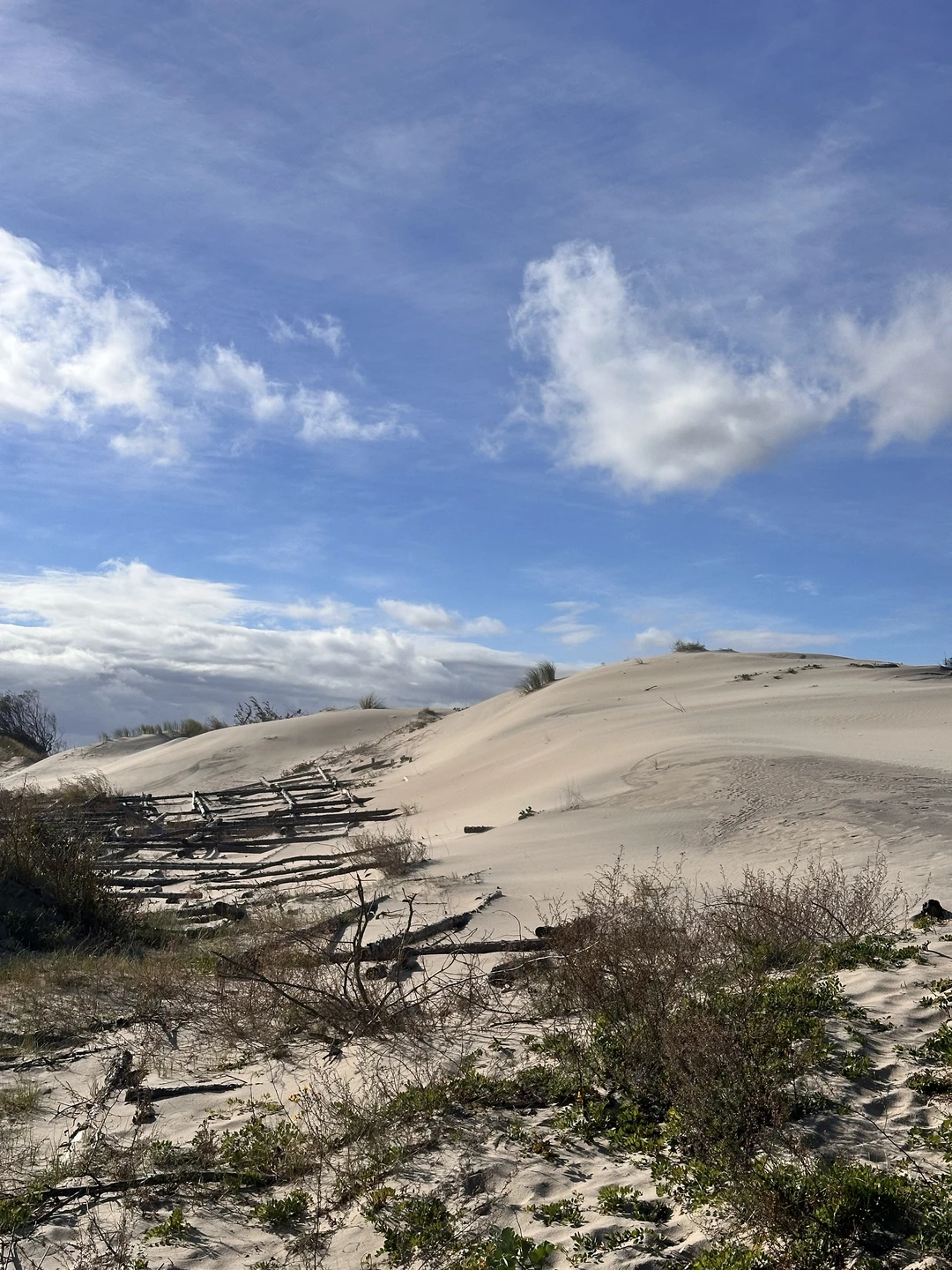 Очень комфортные и классные гиды