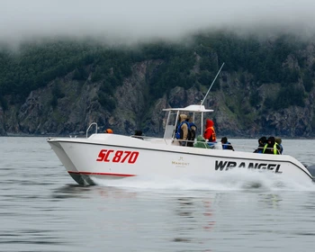 Переезд в бухту Врангеля